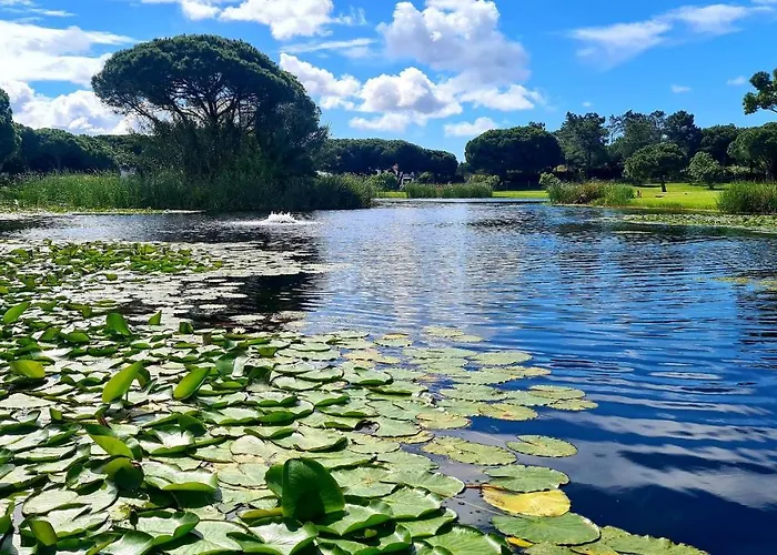 Balaia Mar E Sol البوفيرا